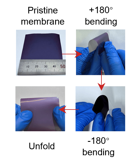 Demonstration of the membrane's flexibility.
