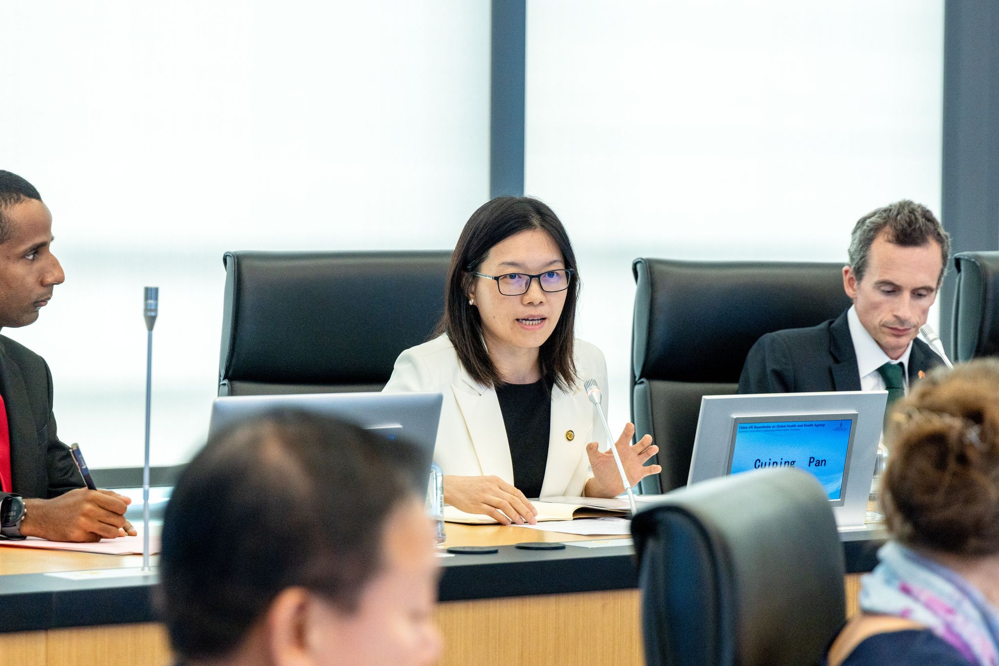 Assistant Professor Cuiping Pan speaks on the roundtable.