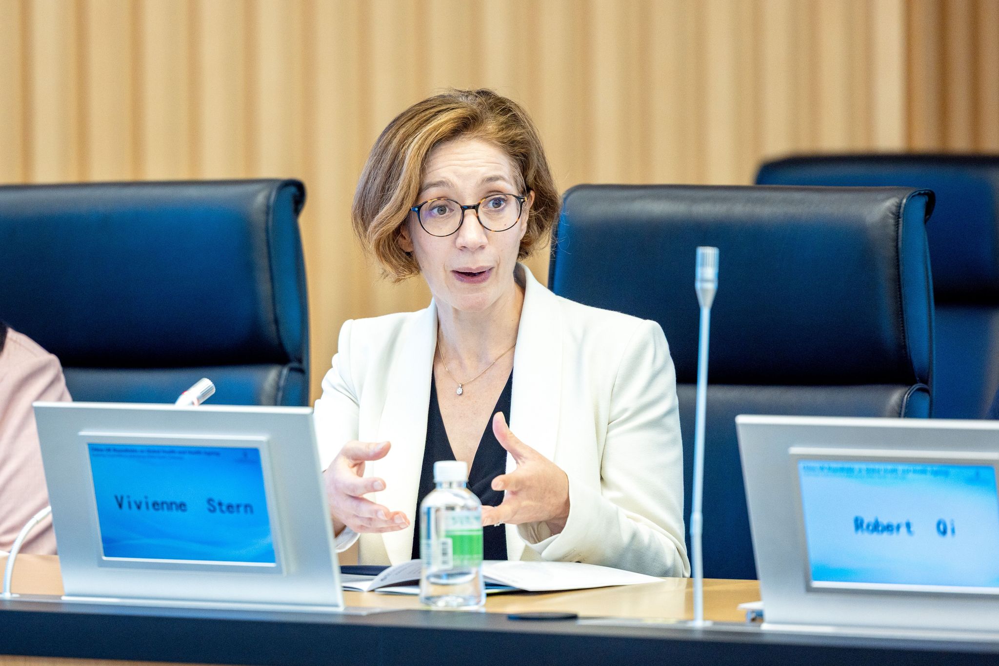 Vivienne Stern speaks on the roundtable.